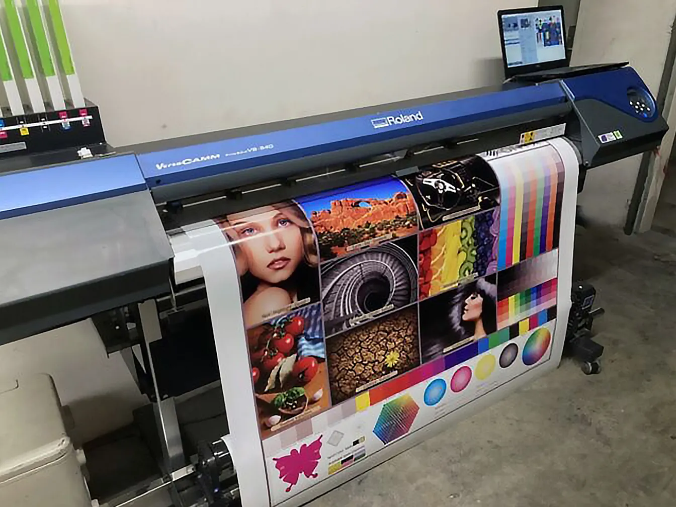 Vinyl Printing